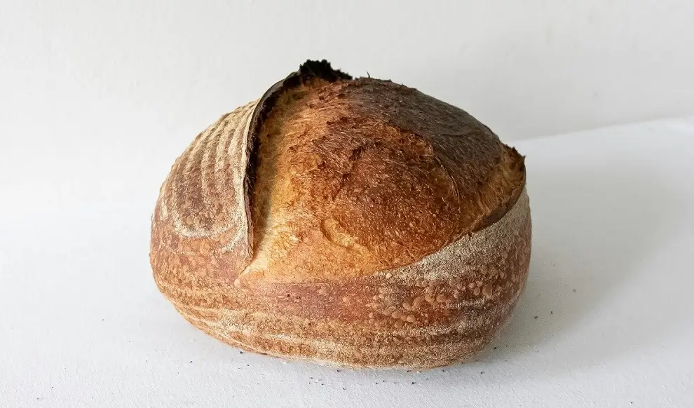 Vers brood uit een broodpan